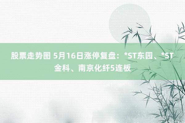 股票走势图 5月16日涨停复盘：*ST东园、*ST金科、南京化纤5连板