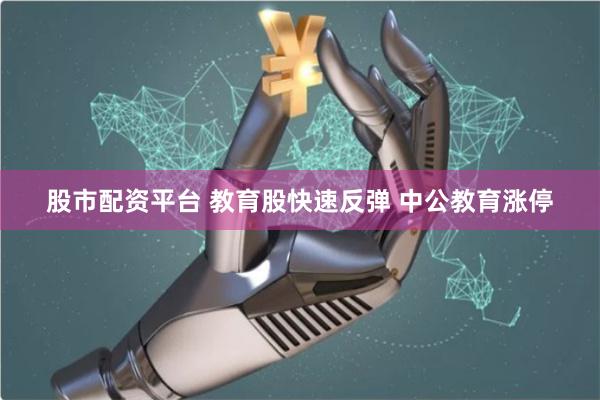 股市配资平台 教育股快速反弹 中公教育涨停