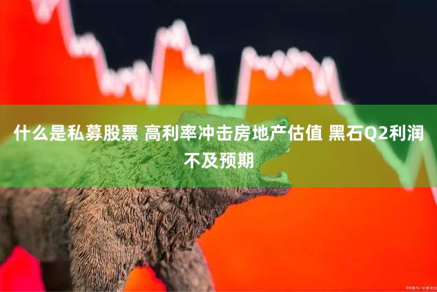 什么是私募股票 高利率冲击房地产估值 黑石Q2利润不及预期