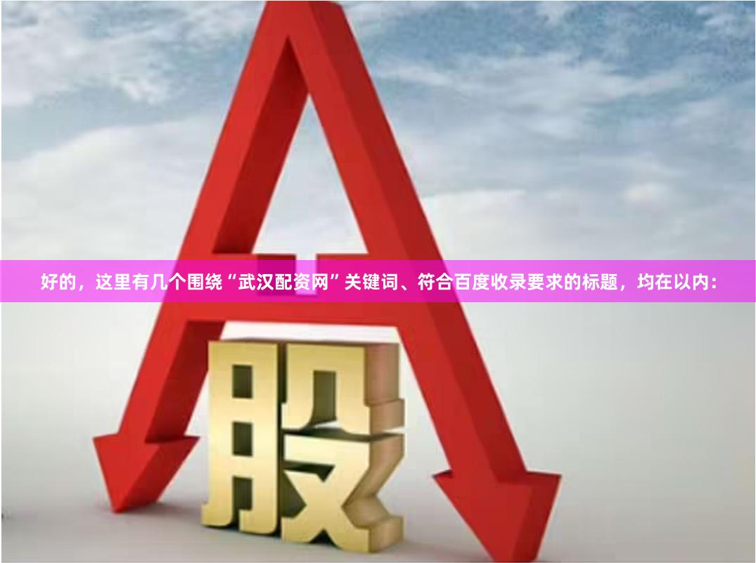 好的，这里有几个围绕“武汉配资网”关键词、符合百度收录要求的标题，均在以内：