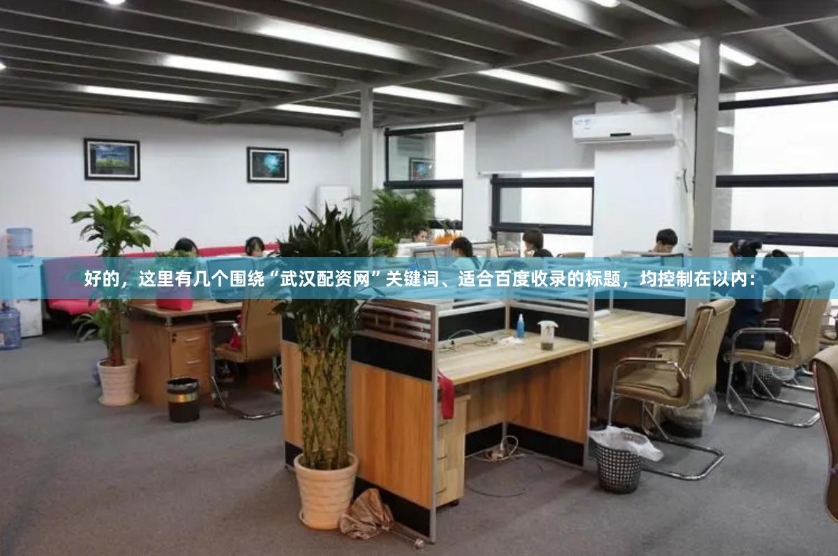 好的，这里有几个围绕“武汉配资网”关键词、适合百度收录的标题，均控制在以内：
